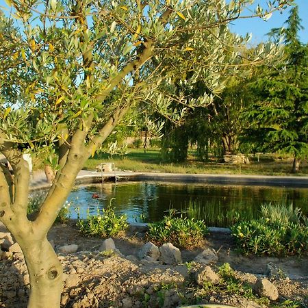Le Mas Du Caprier Charleval  Bagian luar foto